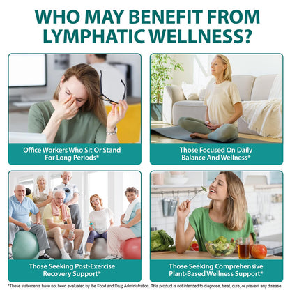 Lymphatic Drainage Drops, Natural Lymph Cleanse & Immune Support Supplement with Echinacea, Dandelion, Elderberry, Cleavers, Astragalus & Burdock, 2 FL OZ (1) - Maple Wellness Supplements