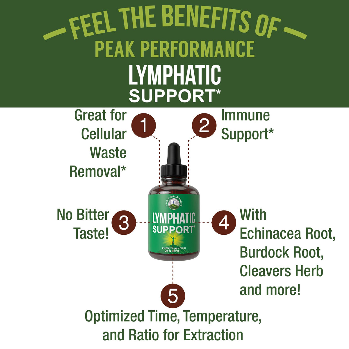 Lymphatic Drainage Drops. Sugar Free 7-in-1 Lymph Detox and Cleanse Support. Vegan Supplement with Echinacea, Red Clover Blossom, Burdock Root, Cleavers Herb, Licorice Root, and More! - Maple Wellness Supplements