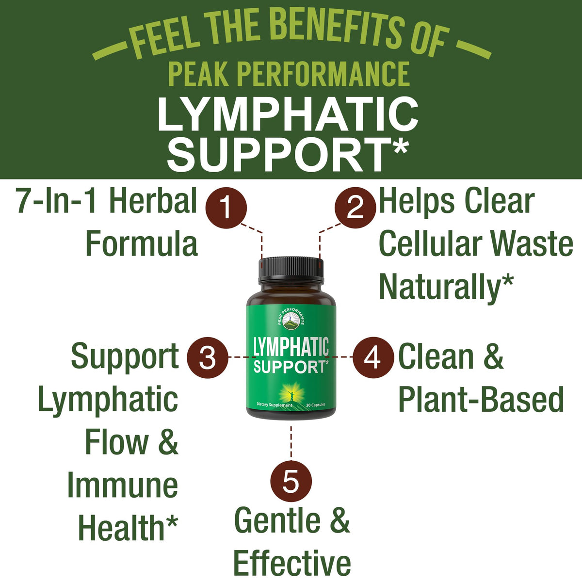 Lymphatic Drainage Supplement. 7-in-1 Lymph System Support Capsules to Detox & Cleanse. with Vegan Ingredients Echinacea Root, Red Clover Blossom, Burdock Root, Red Root, Licorice Root for Women, Men - Maple Wellness Supplements