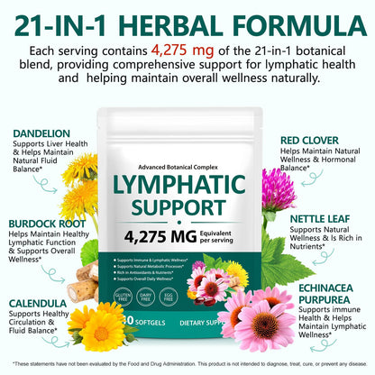 Lymphatic Drainage Supplements, 240 Softgels, Lymph System Support Supplement for Women & Men, 21-in-1 Herbal Blend with Echinacea, Burdock Root, Dandelion, Turmeric for Fluid Balance & Immune Support - Maple Wellness Supplements