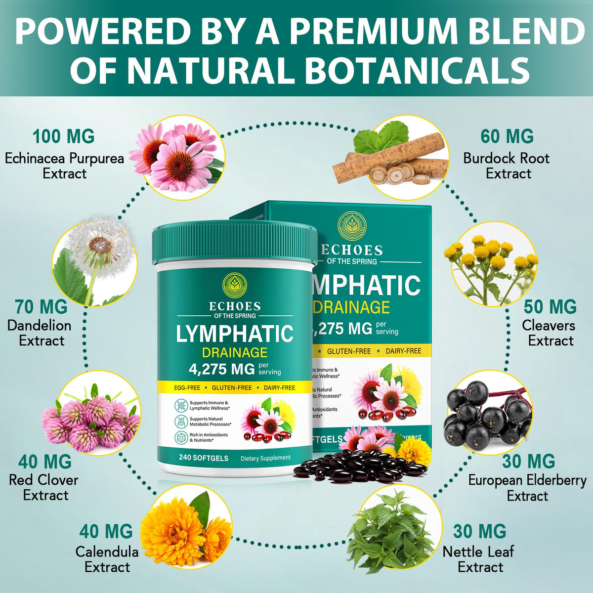 Lymphatic Drainage Supplements, 4275mg Lymph System Support Supplement for Women & Men, Daily Wellness Support, 21-in-1 Herbal Blend with Echinacea, Dandelion, Burdock, Turmeric & More, 240 Softgels - Maple Wellness Supplements