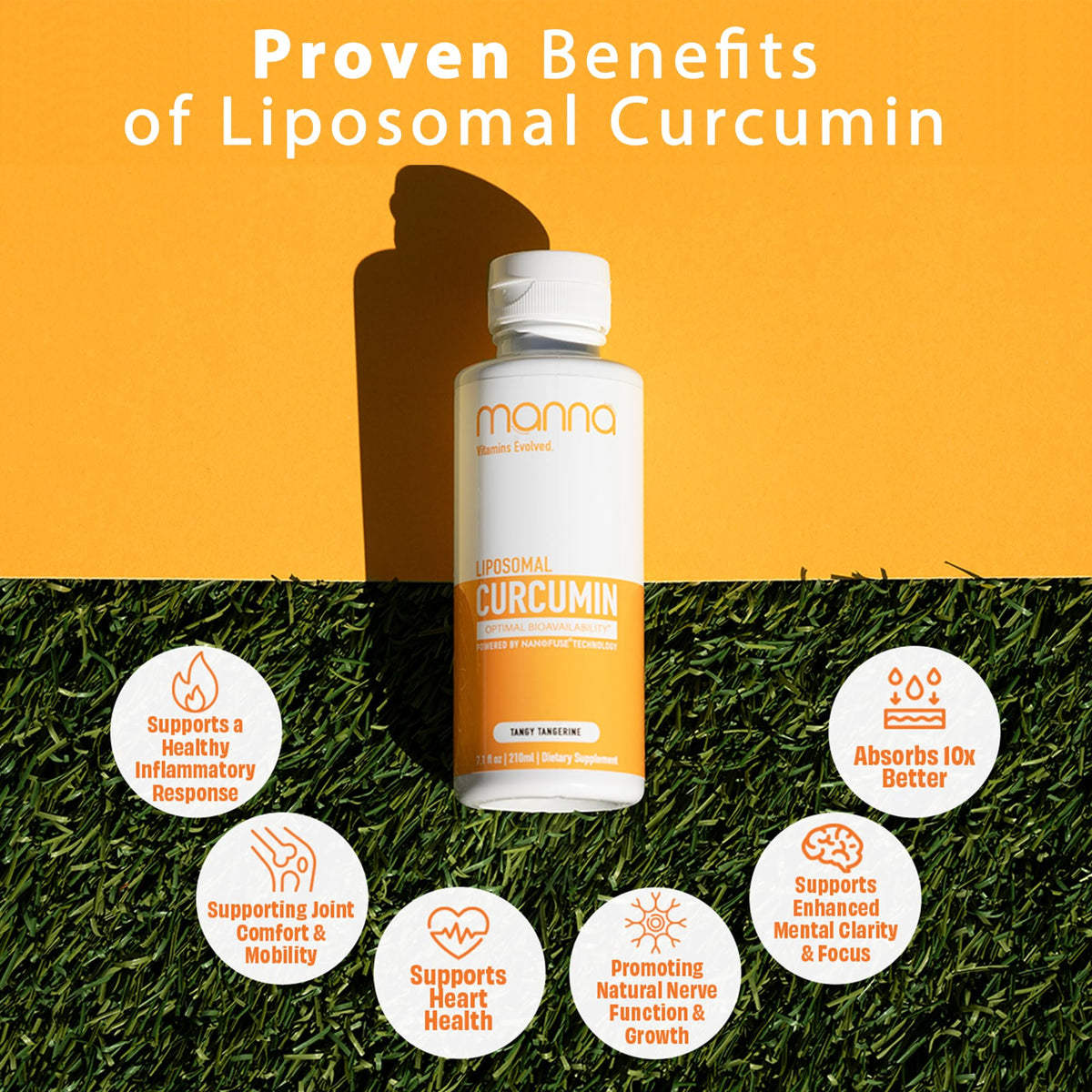 Manna Vitamins Evolved Liposomal Liquid Curcumin for Advanced Absorption Best Turmeric Supplement for Daily Joint & Immune Health Support - Vegan, Non-GMO, 95% Curcuminoids (1 Pack) - Maple Wellness Supplements