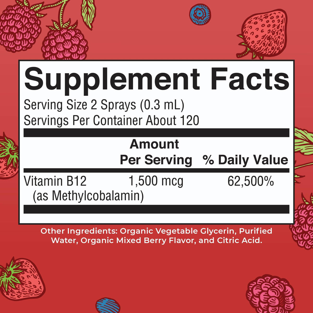MaryRuth Organics Methyl B12 Spray | 1,500 mcg B12 Per Serving | Methylcobalamin | Energy Metabolism | Nervous System Support | Neuro Health | Vegan | Gluten Free | Sugar Free | 1 Fl Oz - Maple Wellness Supplements