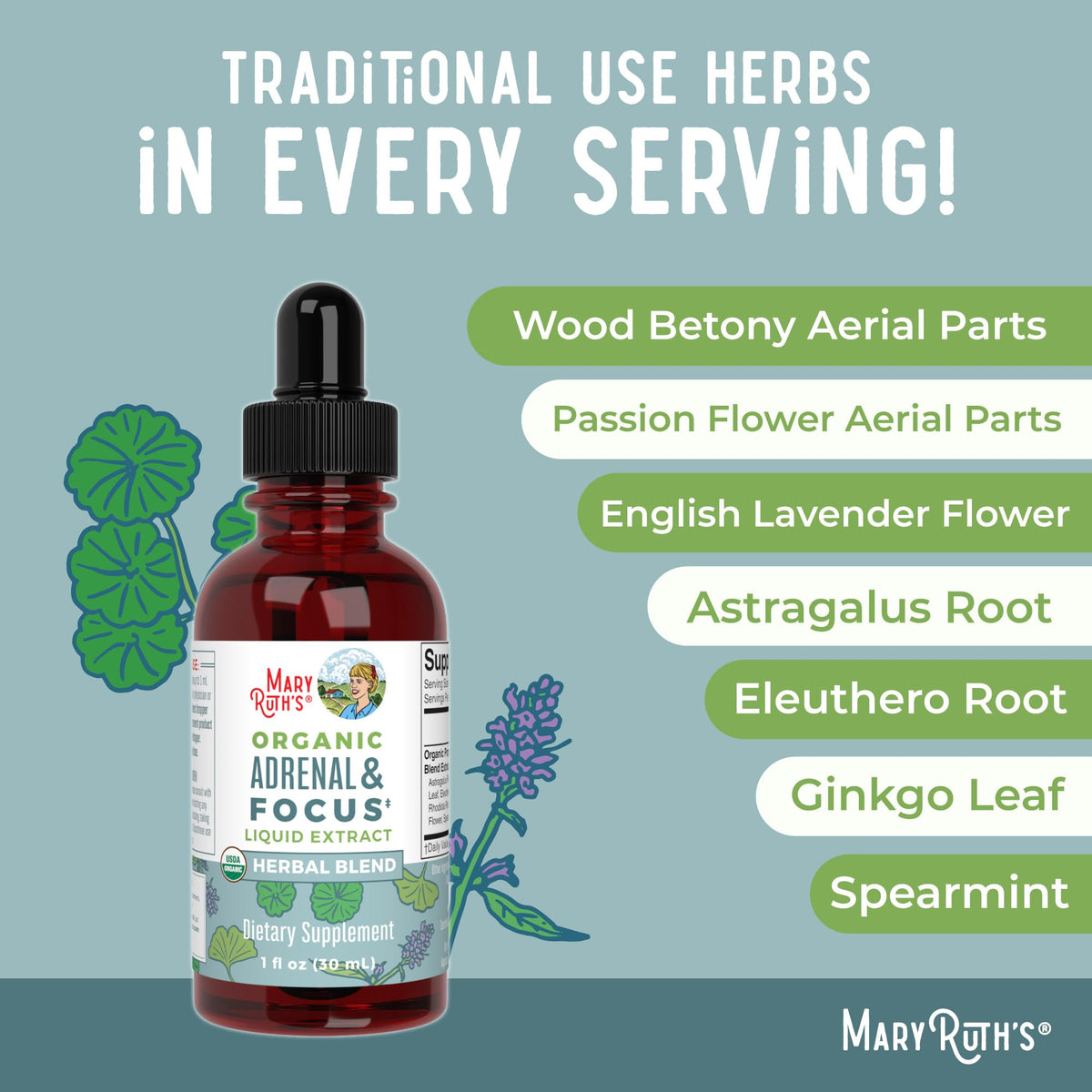 MaryRuth Organics - USDA Organic Brain Nootropic Supplement for Adults with Ginkgo Biloba & Astragalus | Focus & Adrenal Support | Brain & Memory Drops | Vegan | Non-GMO | Gluten Free | 30 Servings - Maple Wellness Supplements