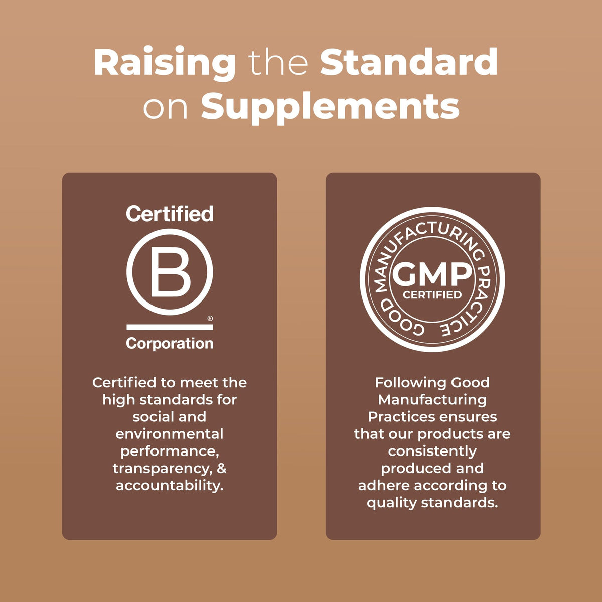 MaryRuth's Mushroom Complex | Lion's Mane | Turkey Tail | Reishi Mushroom | Shiitake Mushrooms | Alcohol Free | Mushroom Blend | Organic | Non-GMO | Vegan | 30 Servings - Maple Wellness Supplements