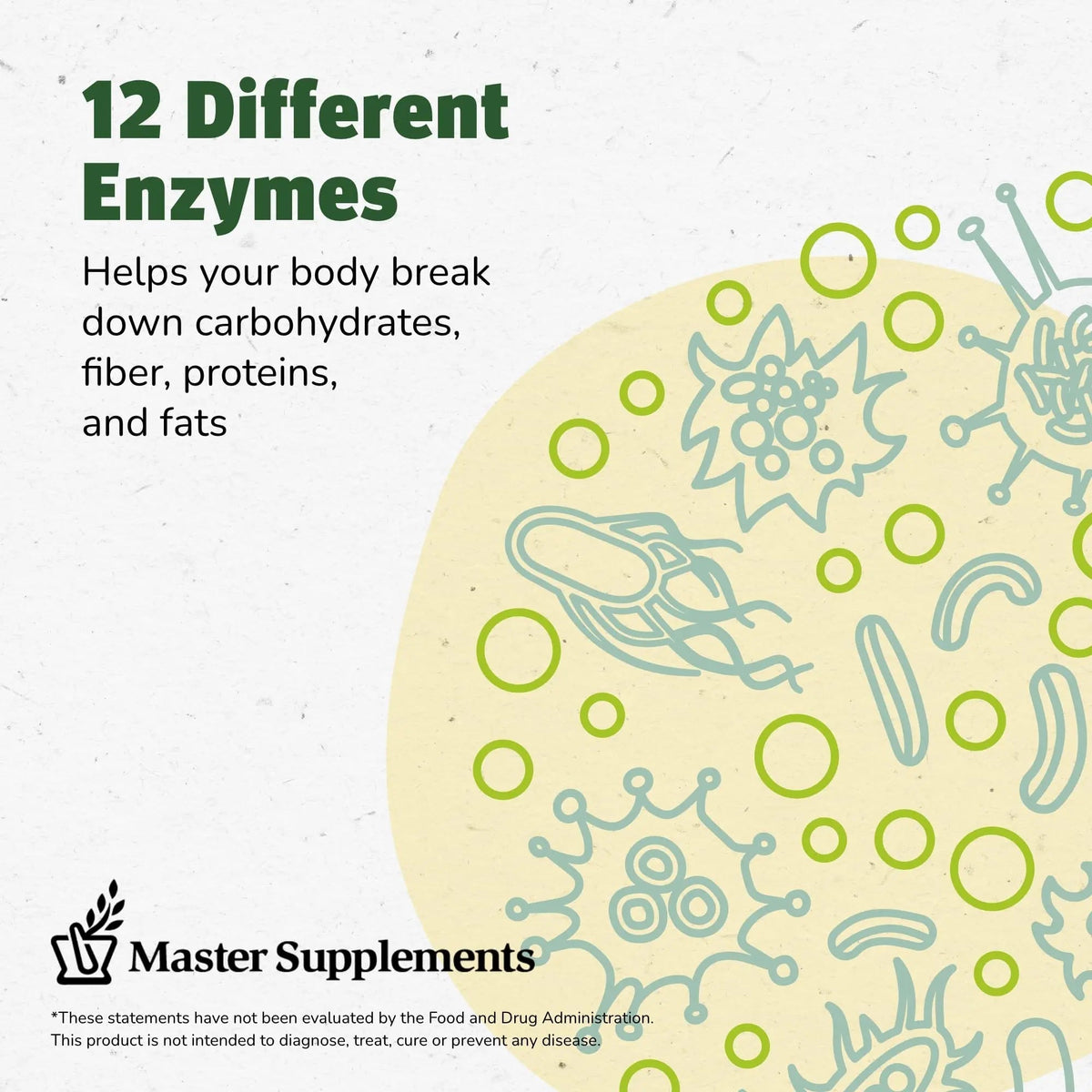 Master Supplements Enzalase - 50 Capsules, Pack of 3 - Probiotic Compatible Enzymes - Provides Digestive Boost + Gas & Bloating Relief - Gluten Free - 150 Total Servings - Maple Wellness Supplements