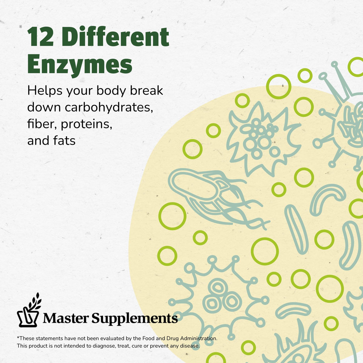 Master Supplements Enzalase - 50 Capsules - Probiotic Compatible Enzymes - Provides Digestive Boost + Gas & Bloating Relief - Gluten Free - 50 Servings - Maple Wellness Supplements