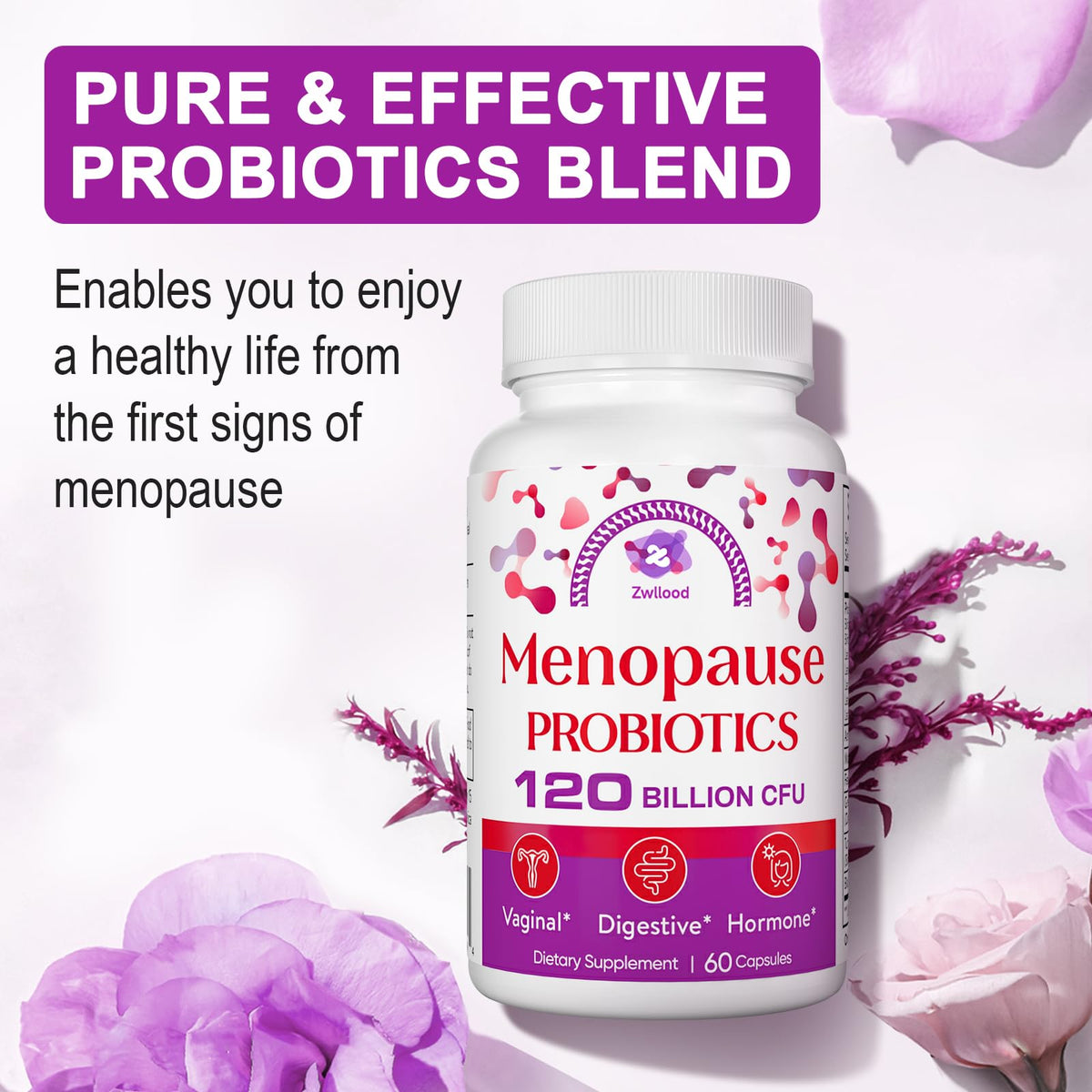 Menopause Supplements for Women, 120 Billion CFU Menopause Probiotics for Women, All-Natural Probiotic for Hot Flashes Menopause, Night Sweats, Mood Swings, Gut and Hormone - 60 Herbal Capsules - Maple Wellness Supplements