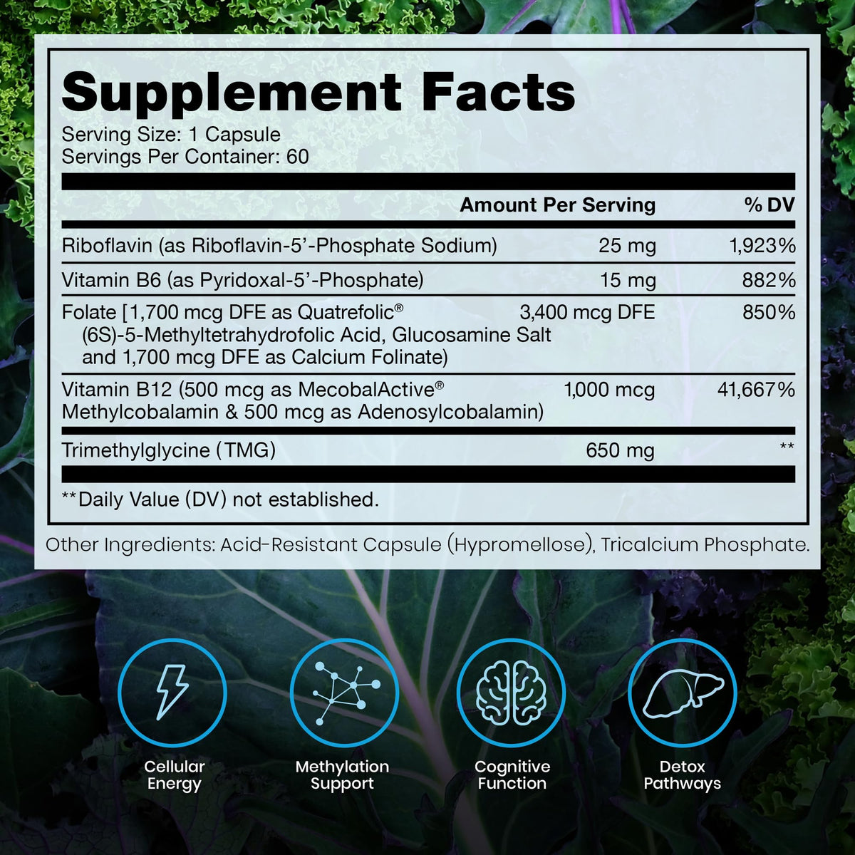 Methylated B Complex Vitamins, Made in USA, 2 Month Supply, Methyl B Complete Quatrefolic 5-MTHF Folate, B12 Methylcobalamin, TMG Trimethylglycine - Maple Wellness Supplements