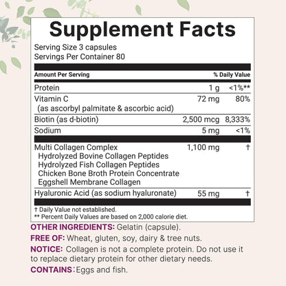 Micro Ingredients Multi Collagen Pills for Women & Men, 240 Capsules | Type I, II, III, V, X | Hydrolyzed Peptides with Biotin, Hyaluronic Acid - Maple Wellness Supplements