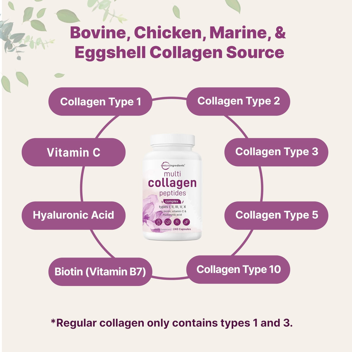 Micro Ingredients Multi Collagen Pills for Women & Men, 240 Capsules | Type I, II, III, V, X | Hydrolyzed Peptides with Biotin, Hyaluronic Acid - Maple Wellness Supplements
