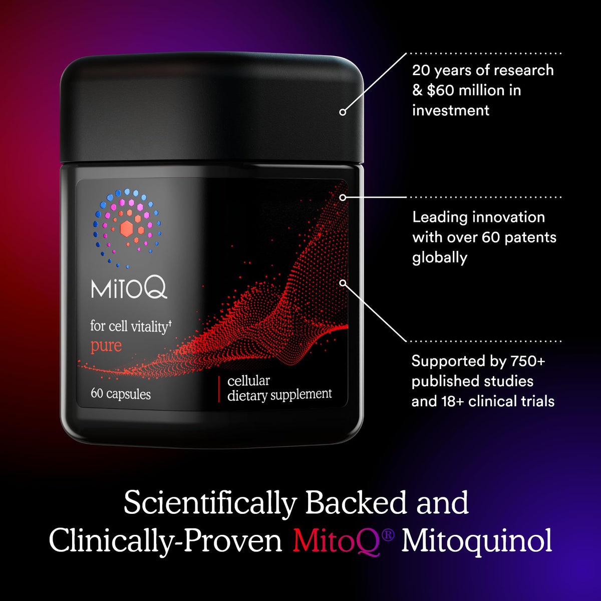 MitoQ Pure Advanced Mitochondria Supplement Superior Bioavailability to CoQ10 | Reduces Free Radical Damage for Healthy Aging, Metabolism, Heart Health, Energy, Strength & Mobility - Maple Wellness Supplements