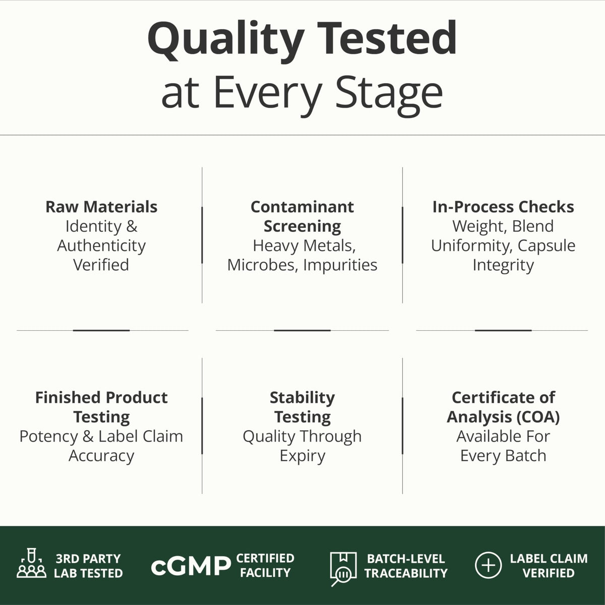 Multivitamin for Men with Methylated Vitamins and Chelated Minerals for Energy, Focus and Immune Health – Premium Daily Mens - Maple Wellness Supplements