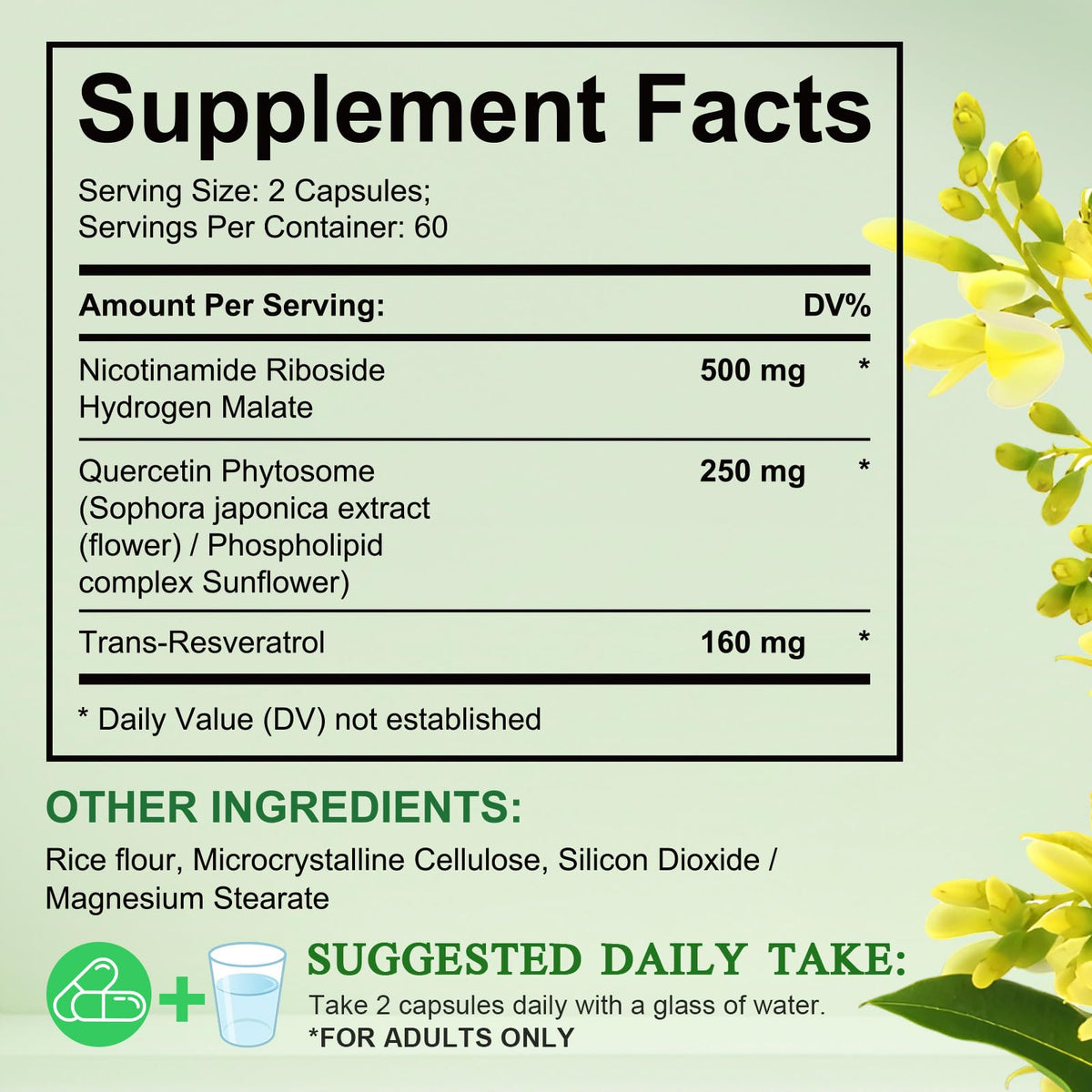 NAD Supplement, Nicotinamide Riboside, NAD 910MG Liposomal Supplements for Women & Men, NAD+ Supplement for Anti Aging and Cell Regeneration -120 Capsules - Maple Wellness Supplements