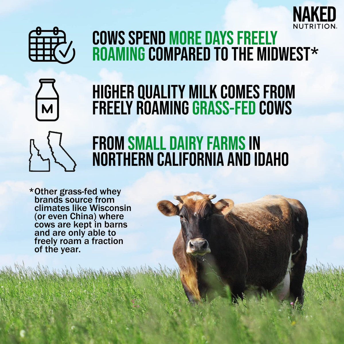 Naked Nutrition Naked Whey 1Lb - Only 1 Ingredient, Grass Fed Whey Protein Powder - Maple Wellness Supplements