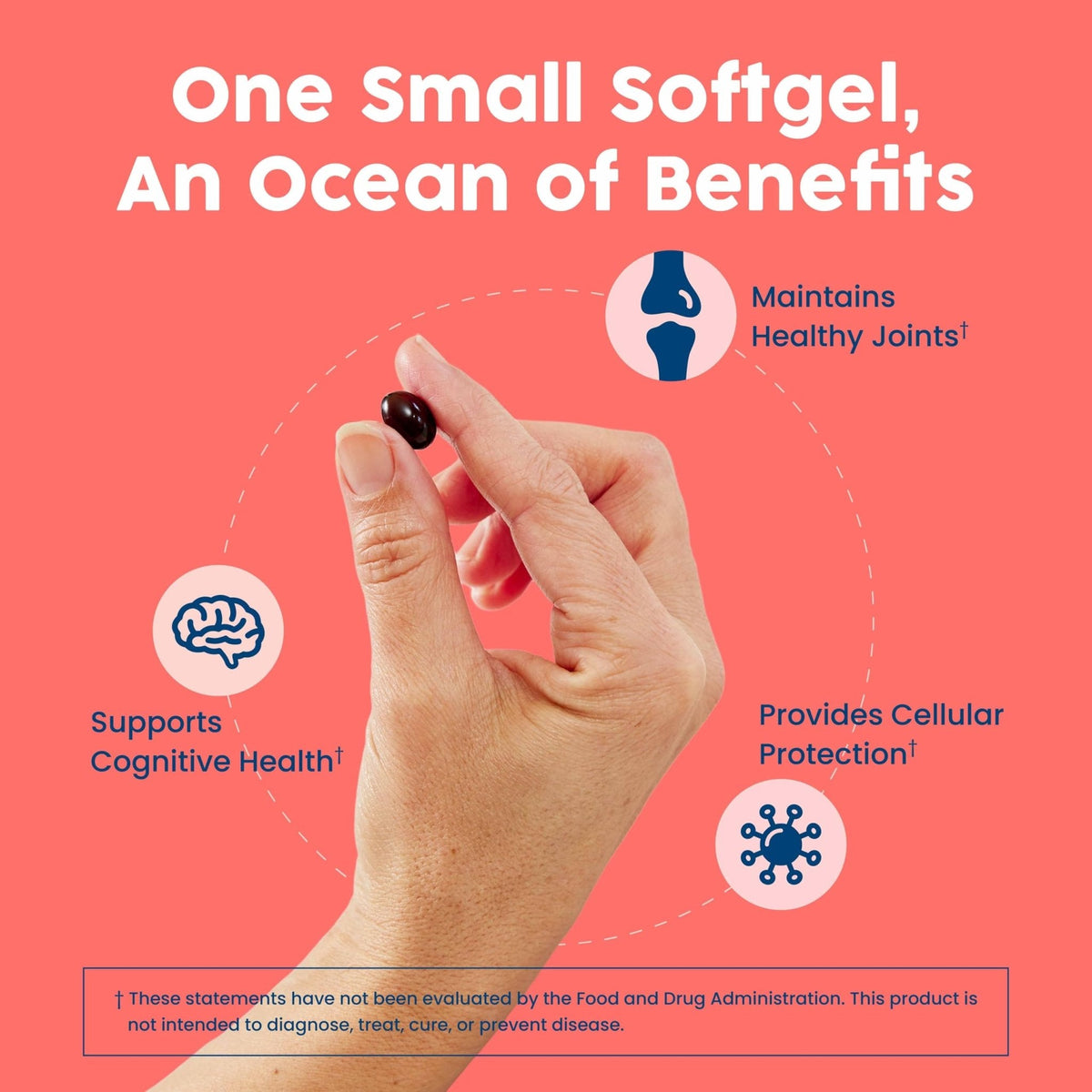 NativePath Antarctic Krill Oil - Wild-Caught Omega 3 Krill Oil 500mg Softgels with EPA, DHA and Astaxanthin - Supplement for Joint, Hear - Maple Wellness Supplements