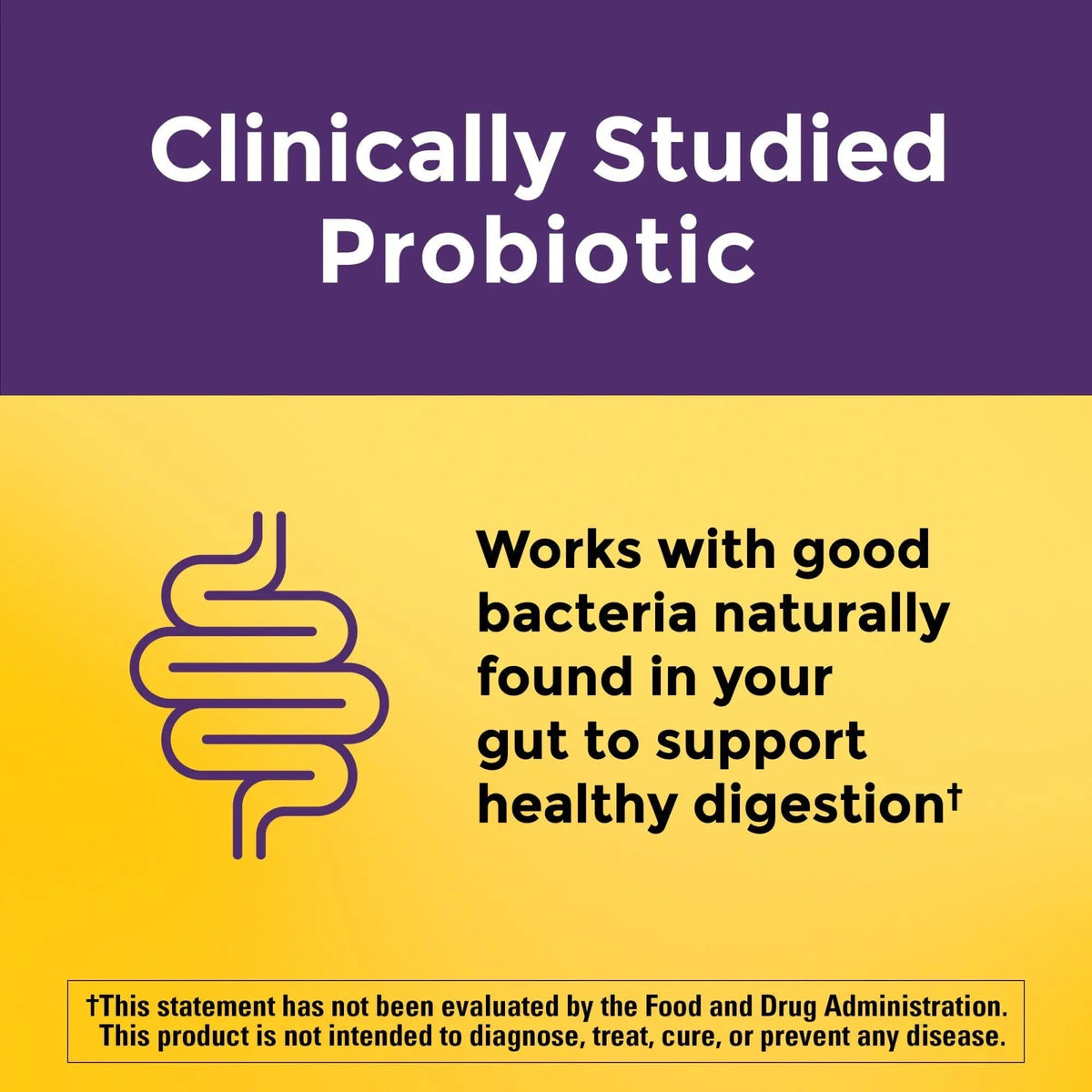 Nature Made Probiotics Extra Strength Dosage, Probiotics for Women and Men 8 Billion CFU per 2 Gummies, 42 Probiotic Gummies, 21 Day Supply - Maple Wellness Supplements