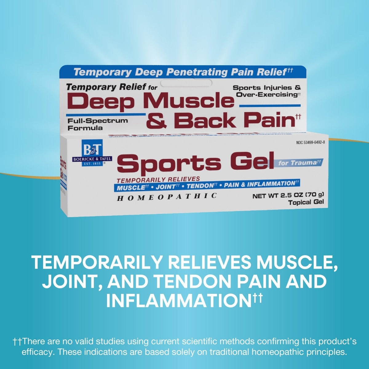 Nature's Way Boericke & Tafel Sports Gel, Relief for Deep Muscle, Joint, Tendon, & Back Pain and Inflammation, Homeopathic, 2.5 oz - Maple Wellness Supplements