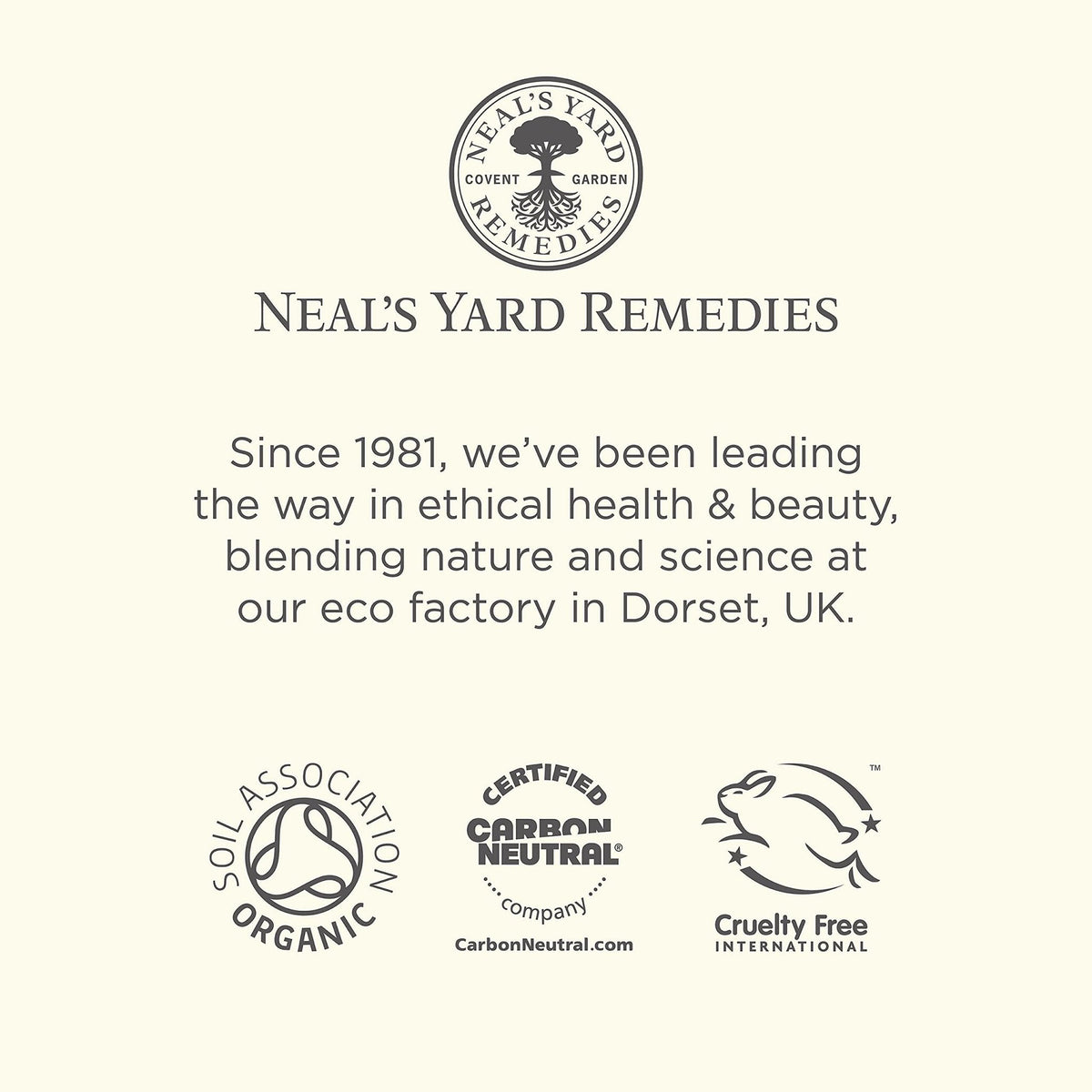 Neal's Yard Arnica Salve with Nourishing Oils & Soothing Beeswax for Sore Muscles, Aches & Stiffness, Vegetarian Approved, Cruelty Free,1.59 oz - Maple Wellness Supplements