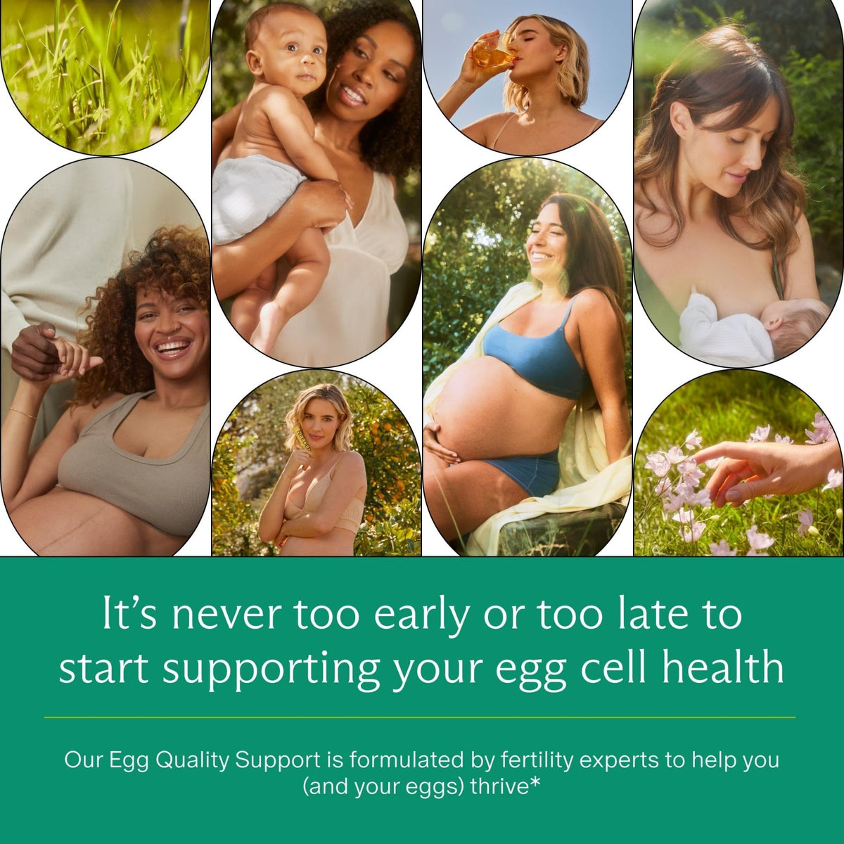 Needed. Egg Quality Support - Optimally Formulated Antioxidants Supplement for Egg Quality - Fertility Support - Fertility Supplement for Women - Maple Wellness Supplements