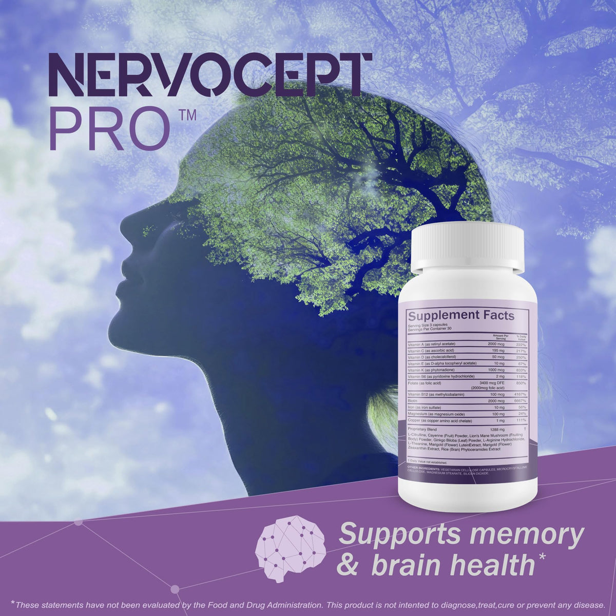 Nervocept Pro - Our Best Nerve Support Capsules - Lions Mane, Magnesium, Vitamin B For Nerve Repair - Vitamin D for Nerves - Lions Mane Memory & Nerve Support - Vitamin B12 Nerve Support - Maple Wellness Supplements