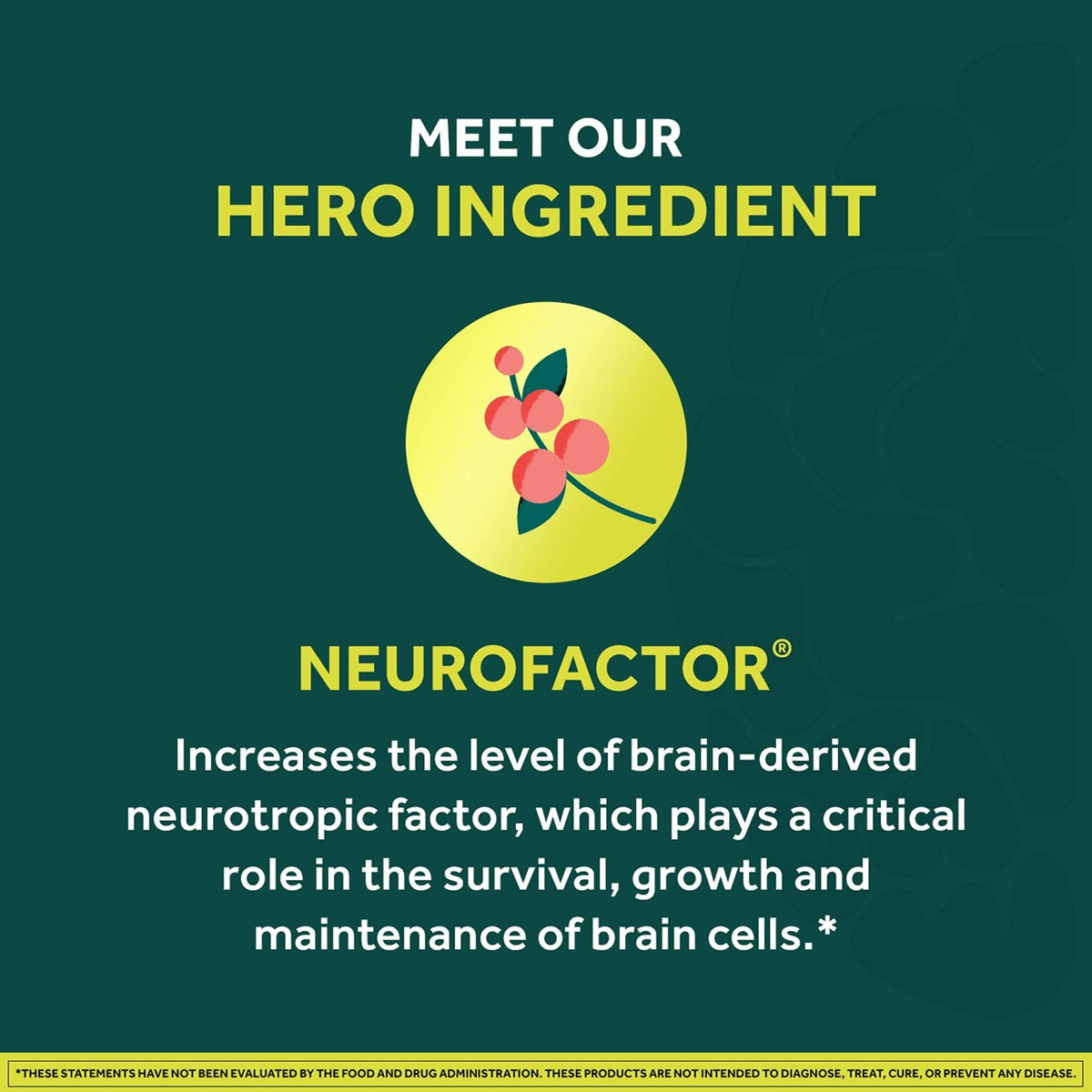 NEURIVA Brain + Energy Gummies, Nootropic Brain Supplements for Focus and Concentration with Neurofactor, Vitamin B12 & Caffeine for an Energy Boost*, 75ct Natural BlackBerry - Maple Wellness Supplements