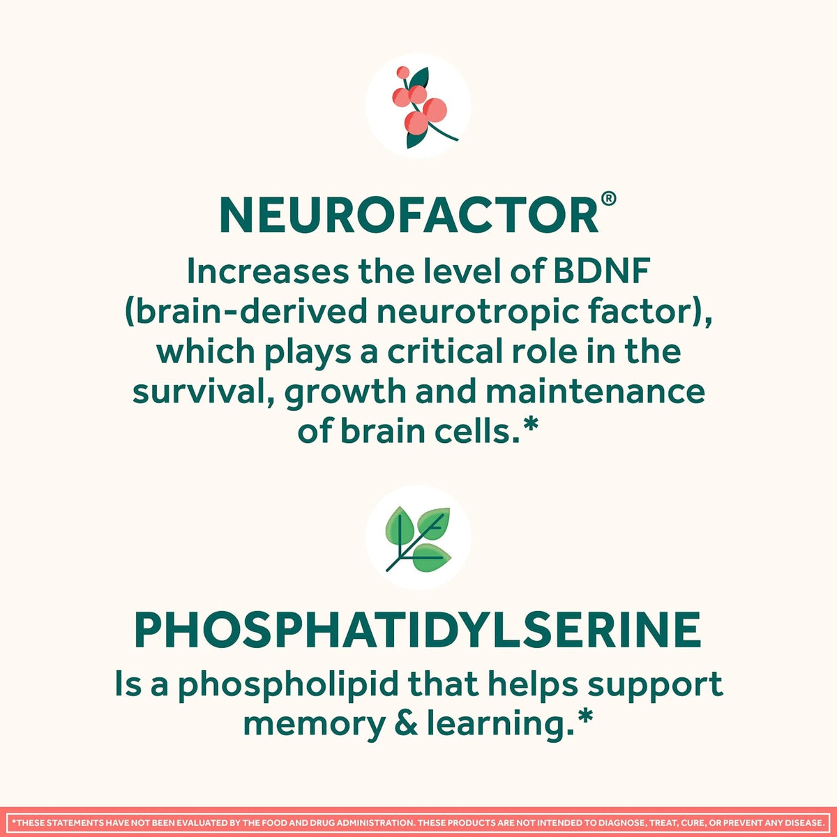 NEURIVA Original Brain Supplement for Memory, Focus & Concentration + Learning & Accuracy with Clinically Tested Nootropics Phosphatidylserine and Neurofactor, Strawberry Flavor, 50 Gummies - Maple Wellness Supplements