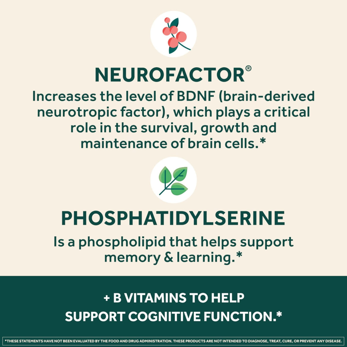 NEURIVA Plus Brain Supplement for Memory and Focus Clinically Tested Nootropics for Concentration for Mental Clarity, Cognitive Enhancement Vitamins B6, B12 - Maple Wellness Supplements