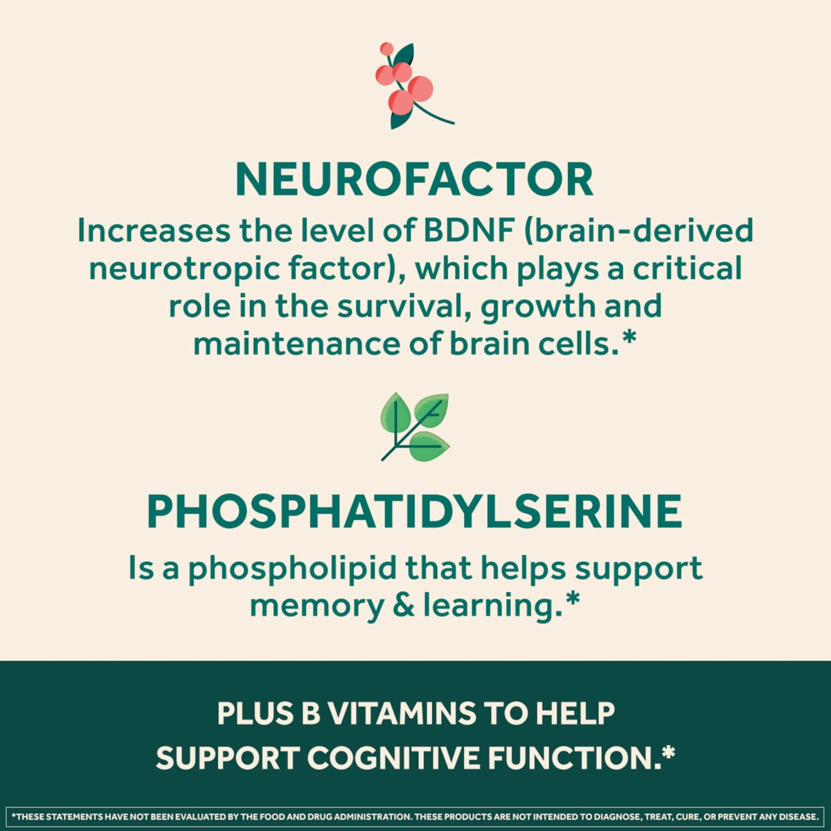 NEURIVA Ultra Decaffeinated Clinically Tested Supplement for Mental Alertness, Memory, Focus & Concentration, Cognivive, Neurofactor - Maple Wellness Supplements
