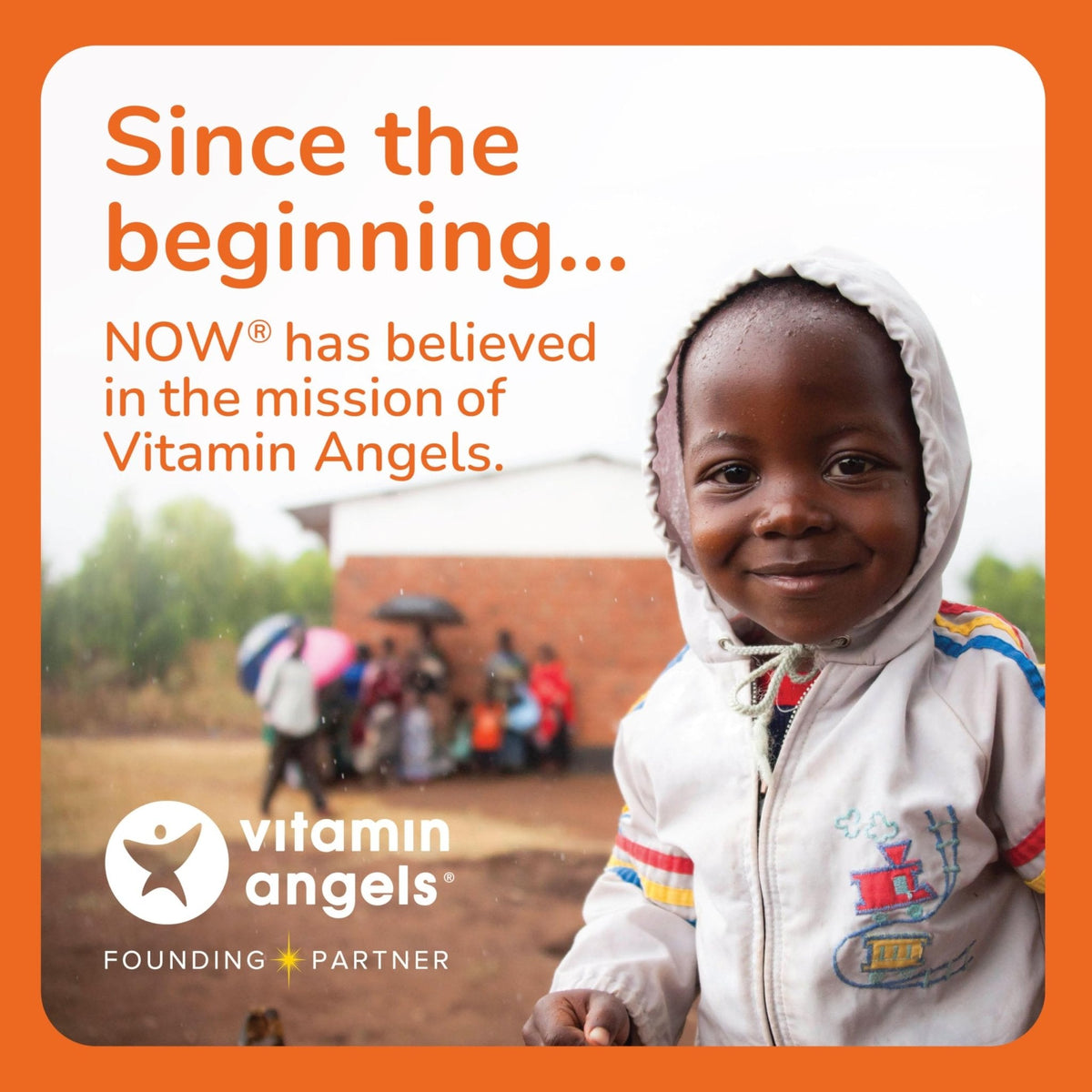 NOW Supplements, MSM (Methylsulfonylmethane) 1,000 mg, Joint Health*, 240 Veg Capsules - Maple Wellness Supplements
