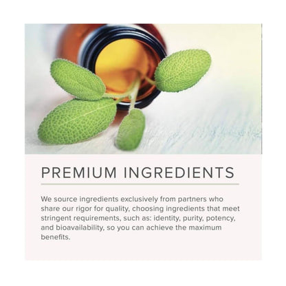 NusaPure Celery Seed Capsules 10:1 Extract, 375 mg Equivalent to 3750mg, 240 Veggie Caps, Non-GMO, Vegan - Maple Wellness Supplements