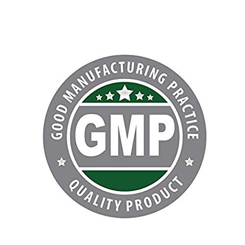 NusaPure Turmeric Curcumin 600 mg 60 Capsules Turmeric 95% Curcuminoids Dietary Supplement - Maple Wellness Supplements