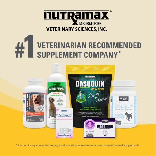 Nutramax Laboratories Dasuquin with MSM Joint Health Supplement for Large Dogs - Maple Wellness Supplements