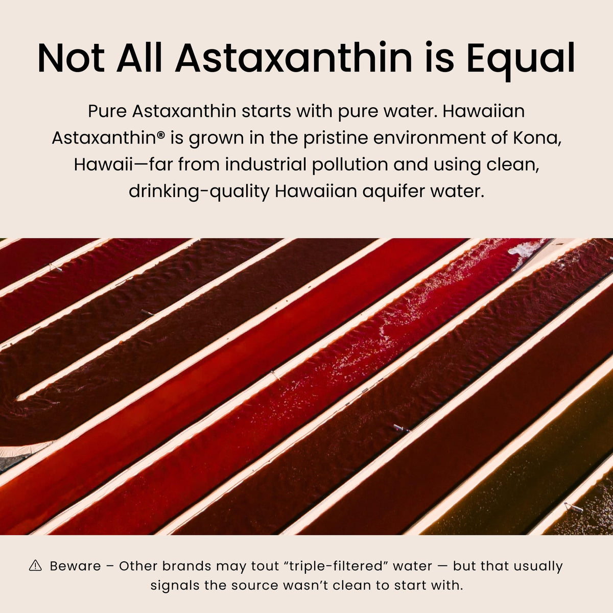 Nutrex Hawaii BioAstin Hawaiian Astaxanthin - 4mg, 60 Softgels - Farm-Direct Premium Antioxidant Supplement to Support Eye, Skin, Joint & Immune System Health - Non-GMO & Gluten-Free - Maple Wellness Supplements