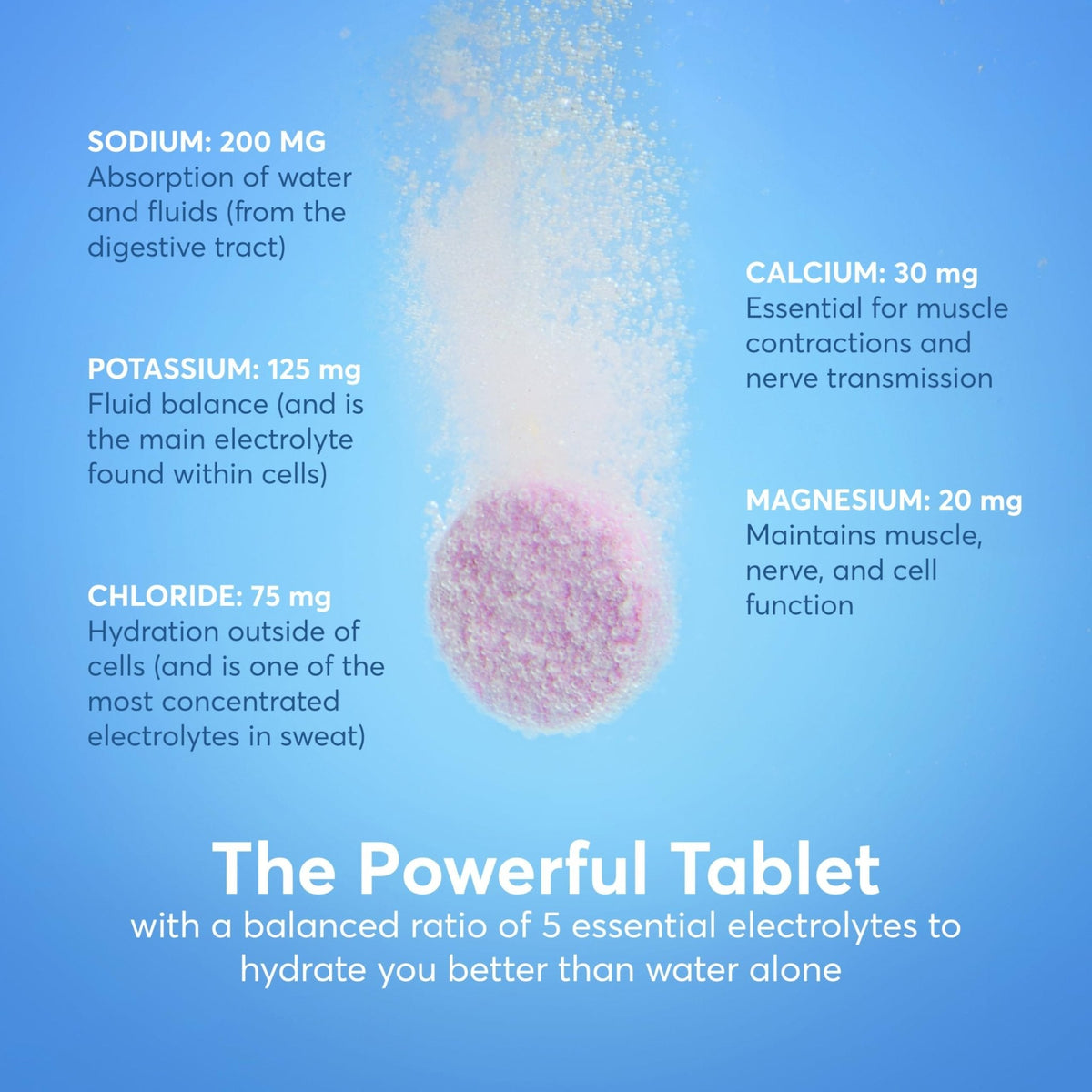 Nuun Zero Sugar Hydration Electrolyte Tablets - Magnesium, Calcium, Potassium, Chloride & Sodium, Light & Delicious Fruit Flavors, No Sugar, Gluten Free, Vegan - Maple Wellness Supplements