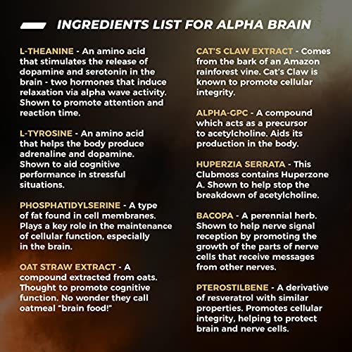 ONNIT Alpha Brain (60ct) - Over 1 Million Bottles Sold - Premium Nootropic Brain Supple - Maple Wellness Supplements