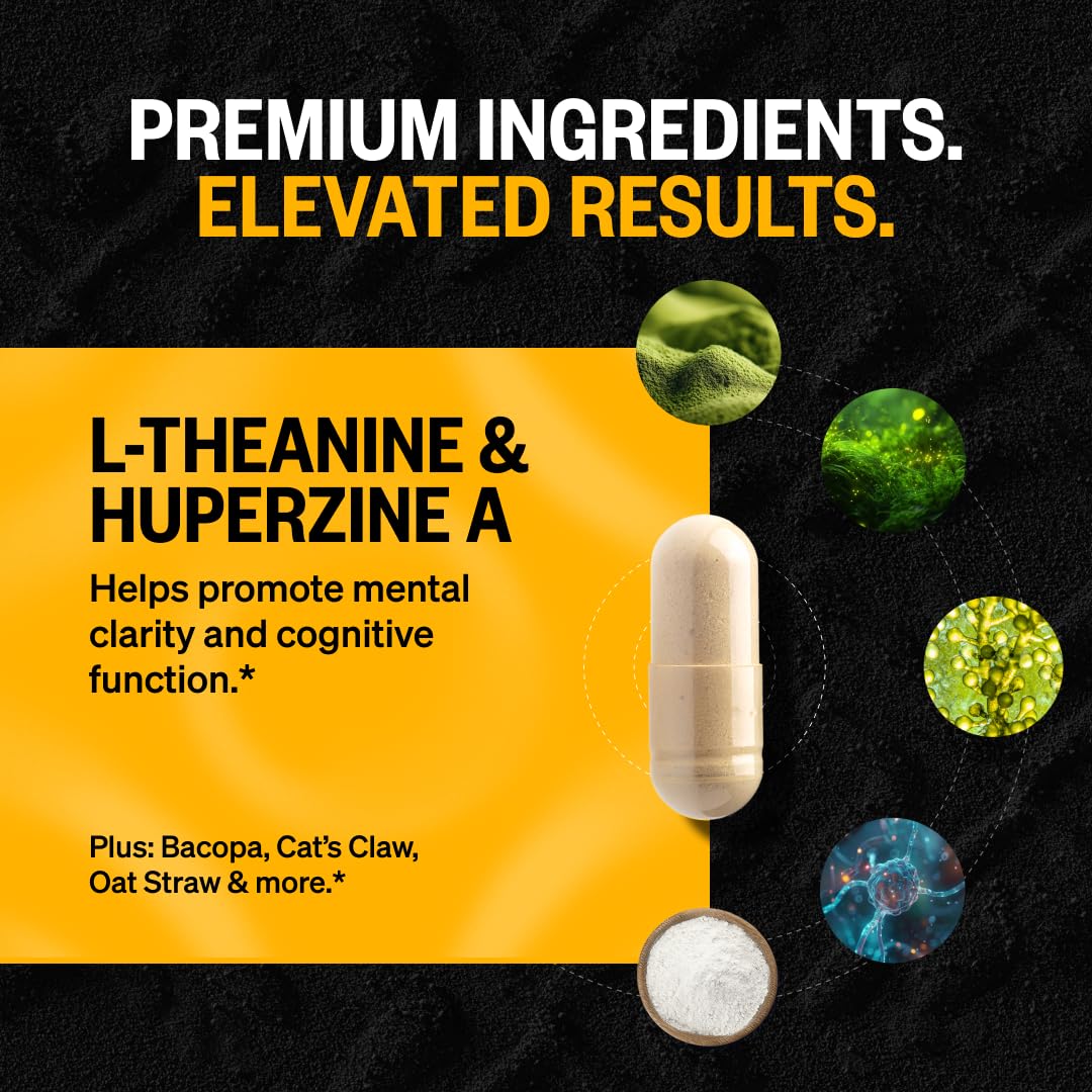 ONNIT Alpha Brain Capsules for Men & Women, IGEN Non-GMO Tested Memory, Focus & Mental Clarity Support with L-Theanine - Maple Wellness Supplements
