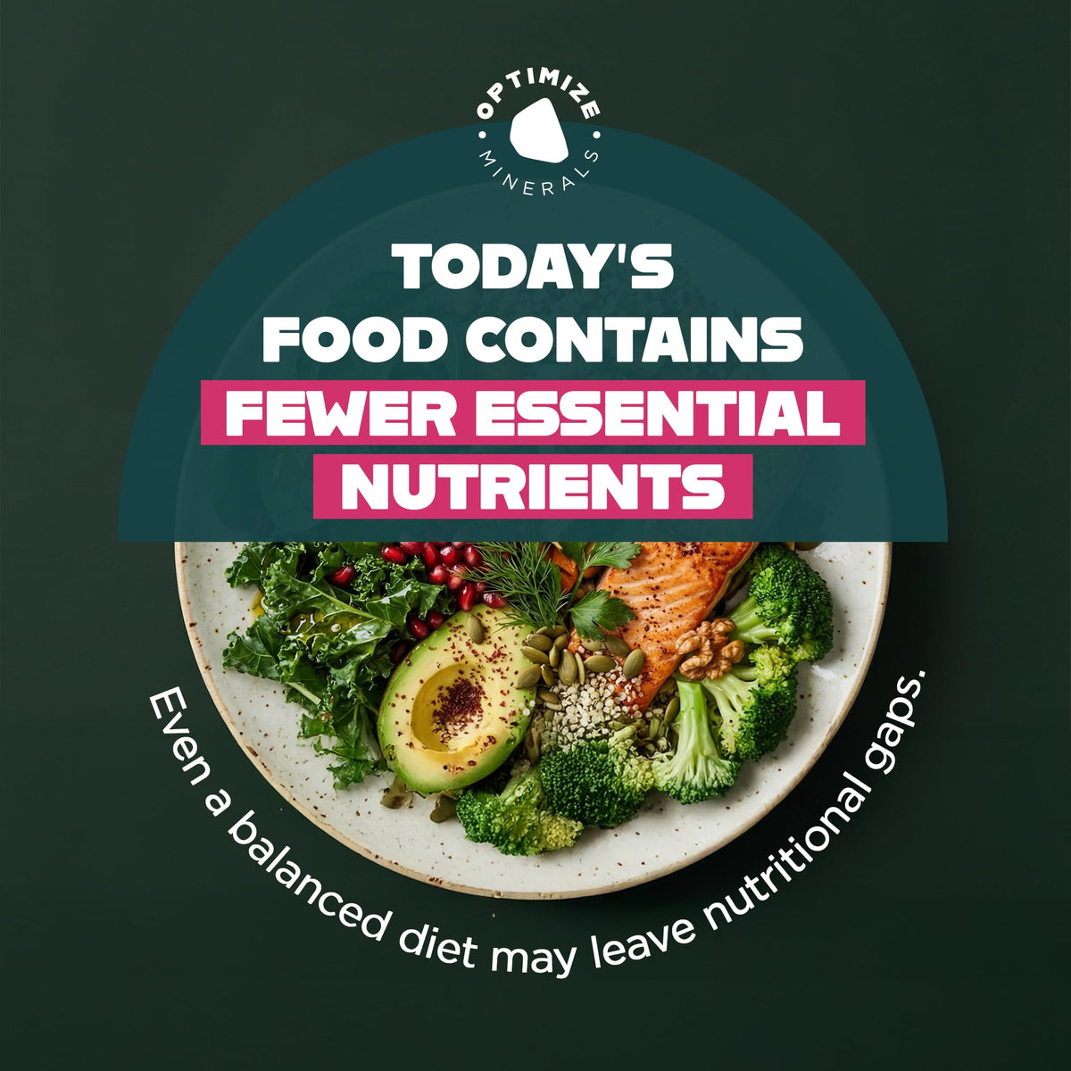 Optimize Minerals Multi Mineral - New Look Same Daily Formula – Magnesium, Electrolytes & Trace Mineral Supplement Powder - Gluten Free Vitamins Drink - Maple Wellness Supplements
