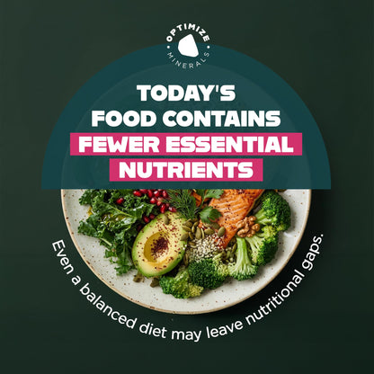 Optimize Minerals Multi Mineral - New Look Same Daily Formula – Magnesium, Electrolytes & Trace Mineral Supplement Powder - Gluten Free Vitamins Drink - Maple Wellness Supplements
