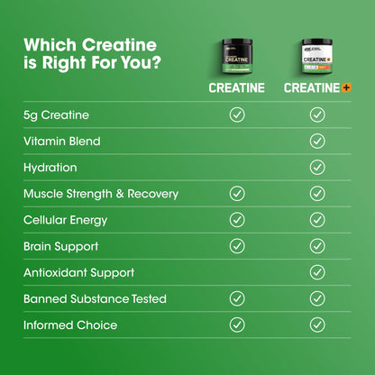 Optimum Nutrition Micronized Creatine Monohydrate Powder, Unflavored, 120 Servings, 600 Grams (Packaging May Vary) - Maple Wellness Supplements
