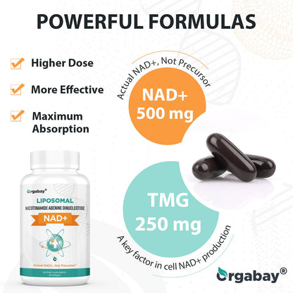 Orgabay Liposomal NAD+ Supplement 500 mg, High Absorption, Boost NAD+ with TMG 250 mg, Actual NAD Plus More Efficient Than Nicotinamide Riboside, Support Cellular Energy, Healthy Aging | 240 Softgels - Maple Wellness Supplements