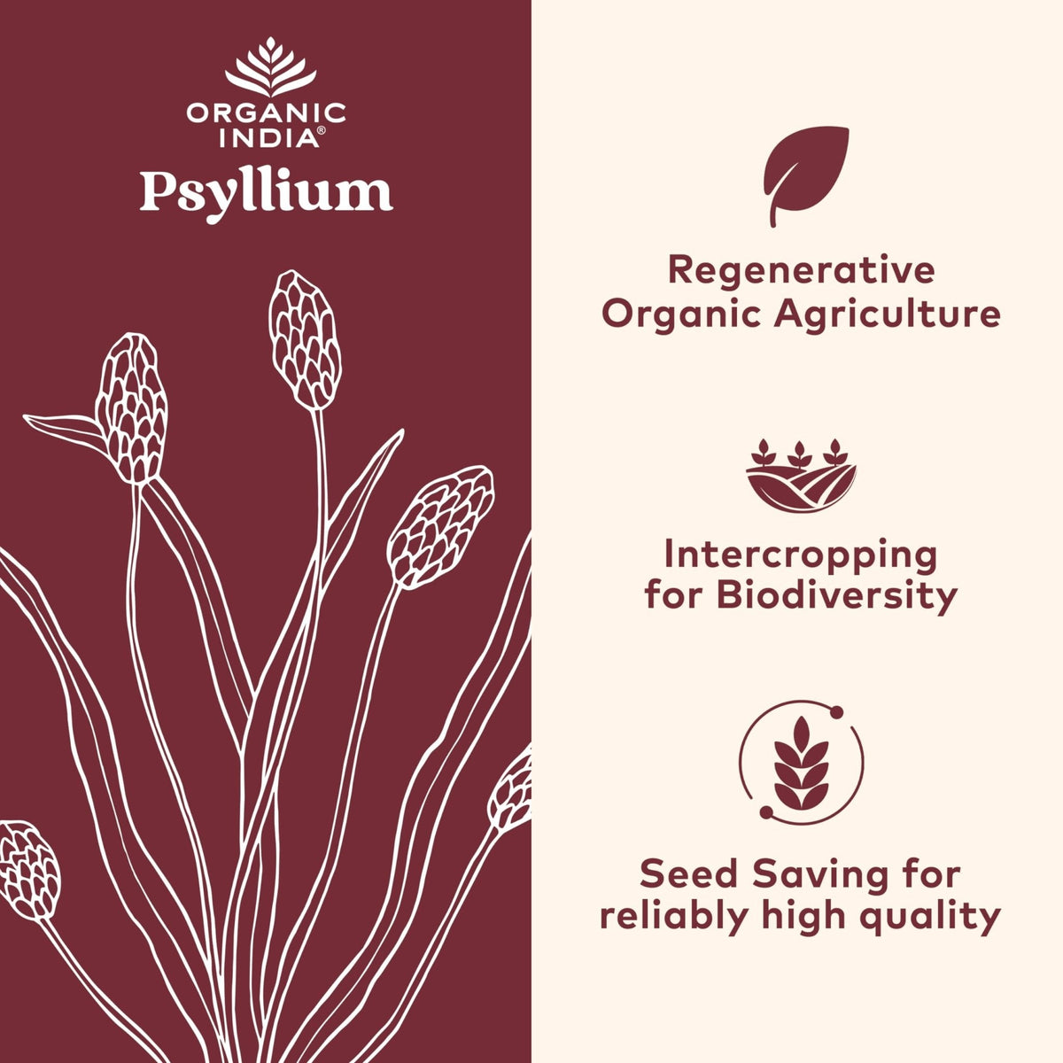 ORGANIC INDIA Psyllium Husk Capsules - Fiber Supplement, Healthy Elimination - Vegan, Keto Friendly, Gluten-Free, USDA Certified Organic, Non-GMO - Maple Wellness Supplements