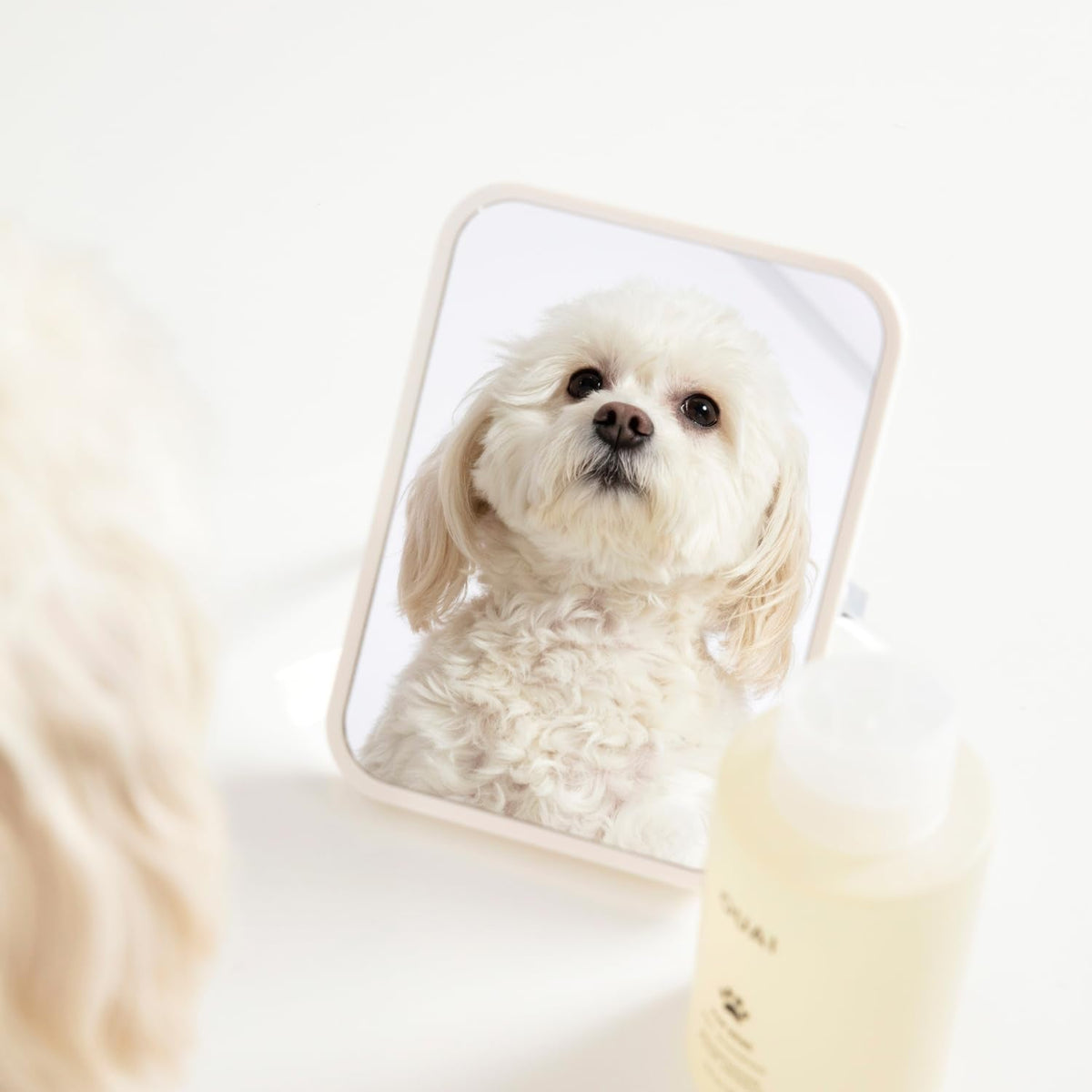 OUAI Fur Bébé Pet Shampoo, Mercer Street Scent - Dog Shampoo and Coat Wash for Hydrating, Cleansing and Adding Shine - Pet Supplies by OUAI (16 Fl Oz) - Maple Wellness Supplements