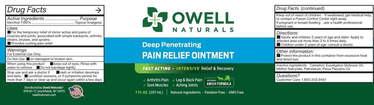 OWELL NATURALS Arthritis Pain Relief Ointment with Arnica & MSM – Deep Penetrating Joint & Muscle Therapy for Knee, Back, Sore Muscles, Legs, 3.5 oz (2 Pack) - Maple Wellness Supplements