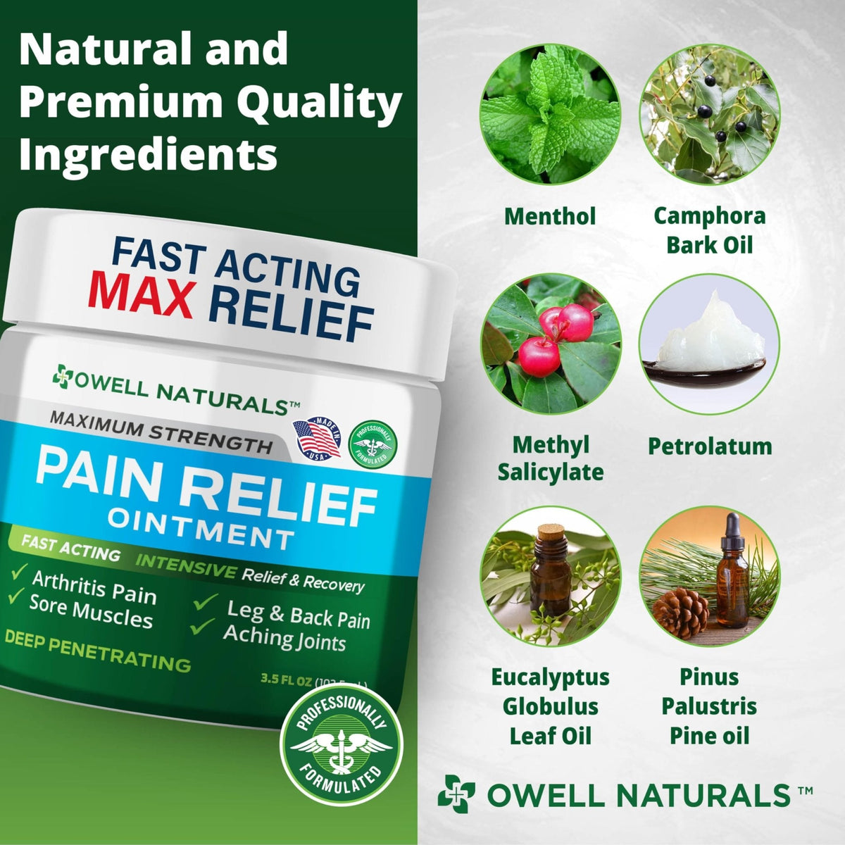 OWELL NATURALS Arthritis Pain Relief Ointment with Arnica & MSM – Deep Penetrating Joint & Muscle Therapy for Knee, Back, Sore Muscles, Legs, 3.5 oz (2 Pack) - Maple Wellness Supplements