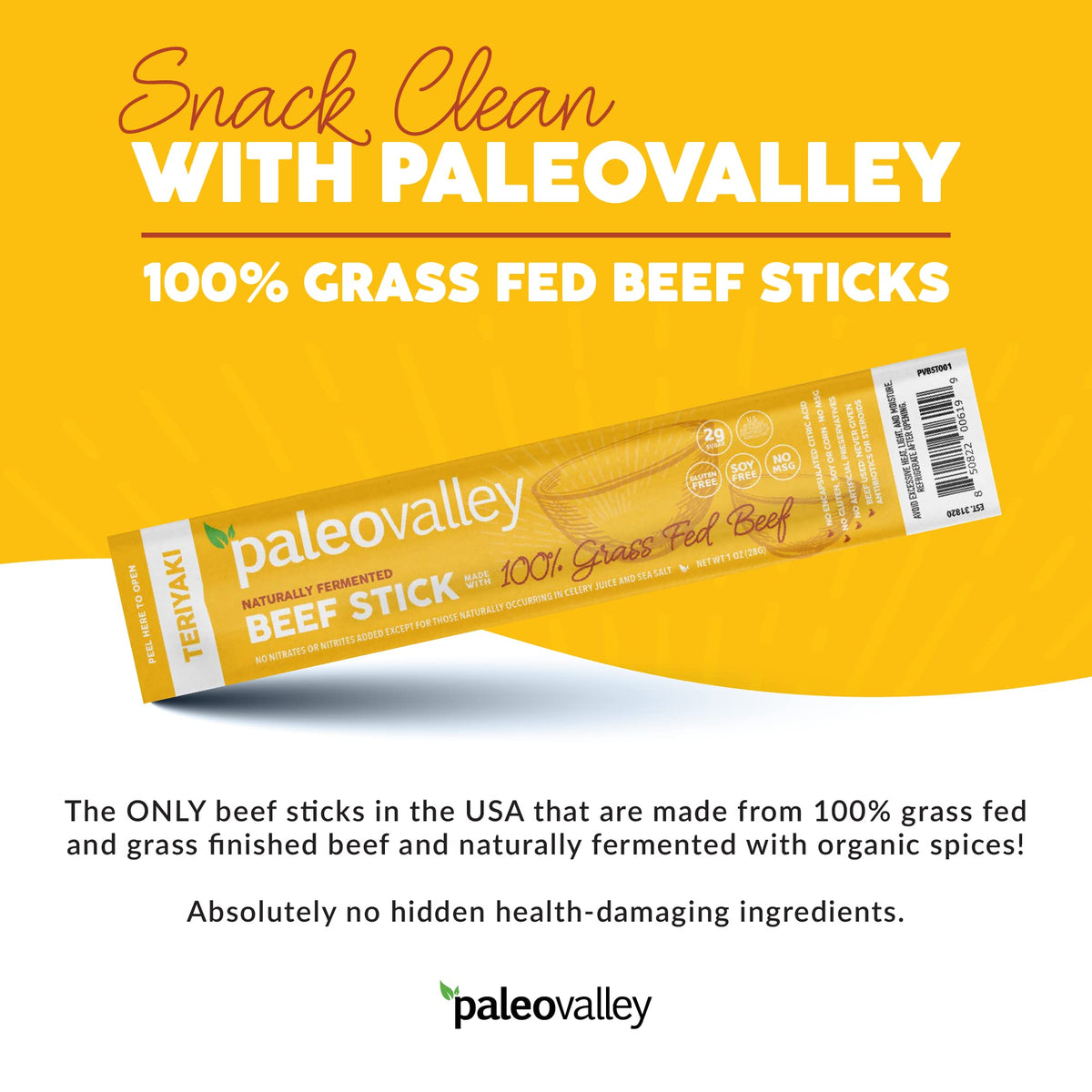 Paleovalley 100% Grass Fed Teriyaki Beef Sticks - Delicious Gluten Free Beef Snack - High Protein Keto Friendly - Maple Wellness Supplements