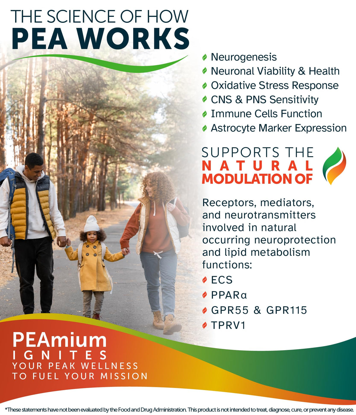 Palmitoylethanolamide 450mg Comfort Mobility Nerves Cognitive & Immune Support - Micronized High Absorption - All Natural Pea - USA Made - No Additives or Excipients – 60 Vegan Capsules Supplement - Maple Wellness Supplements