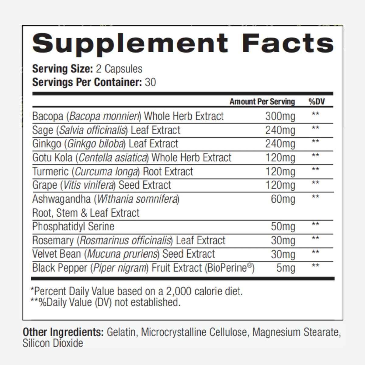 PALO Focus Brain Booster Natural Supplement Nootropic for Memory, Focus, Learning, Reall, Attention and Cognition - Ginkgo Biloba, Bacopa, Gotu Kola, Ashwagandha, Mucuna 60 Capsules - Maple Wellness Supplements