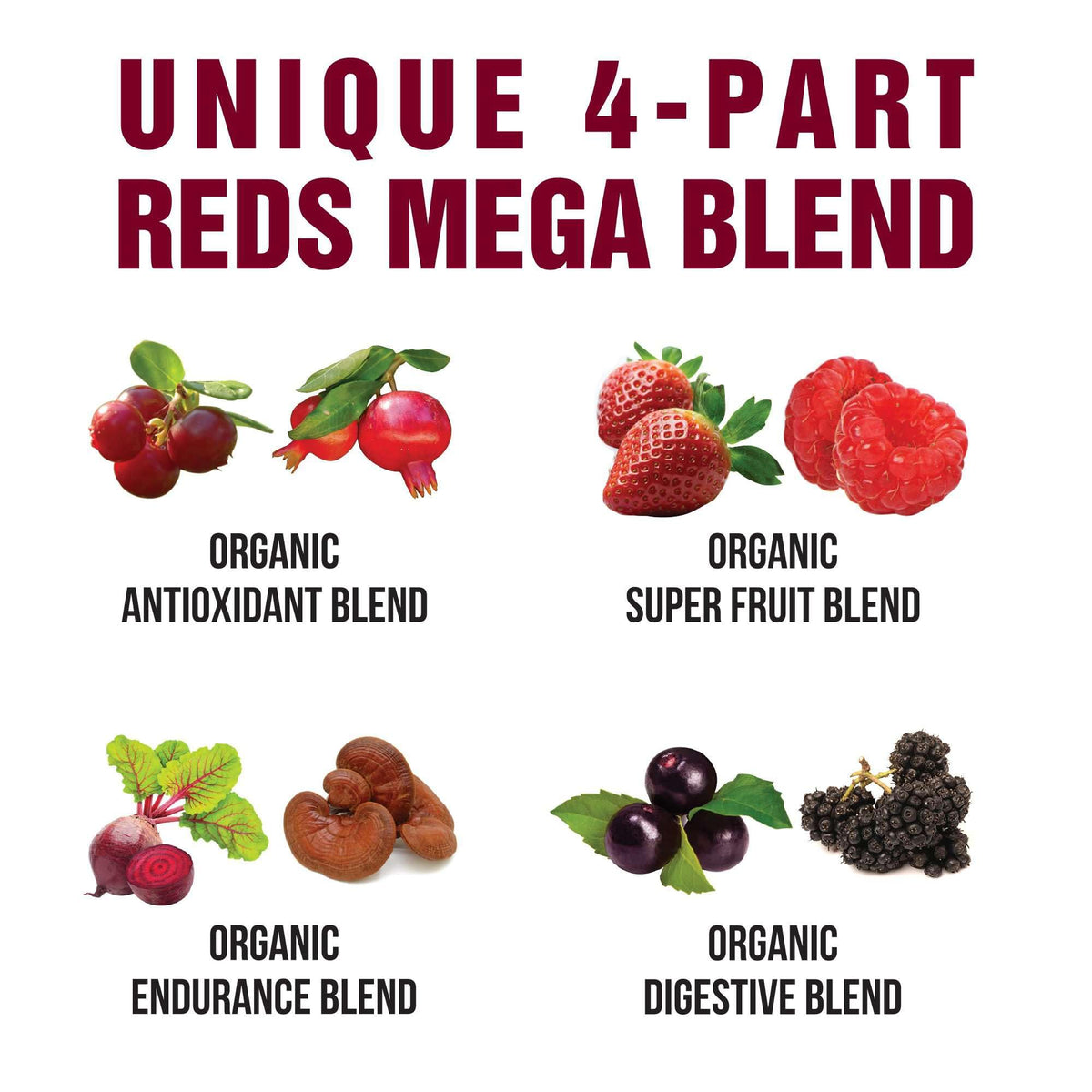 Peak Performance Organic Reds Superfood Powder, Best Tasting Organic Red Juice Super Food w/ 25+ All Natural Ingredients & Polyphenols, Vital for Max Energy and Detox. Raspberry, Elderberry, Beetroot - Maple Wellness Supplements