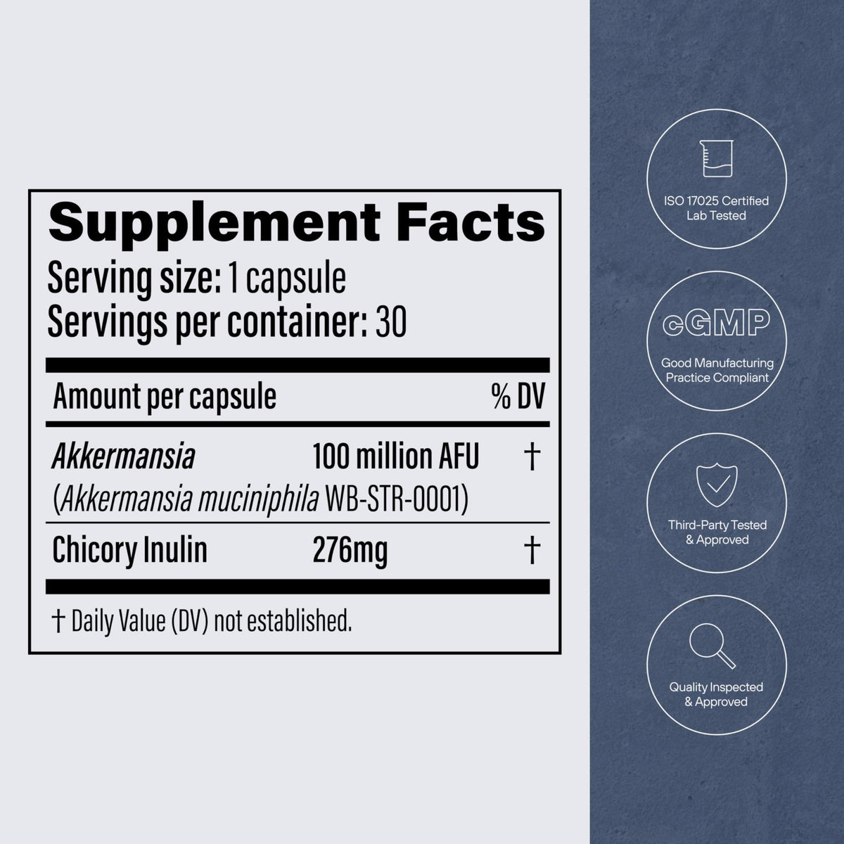 Pendulum Akkermansia Probiotic with Prebiotic Fiber - Delayed Release Capsules, Third-Party Tested, Authentic 100M AFU Live Strain for Gut Health - Maple Wellness Supplements